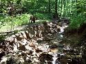 Click image for larger version

Name:	creek.JPG
Views:	1000
Size:	145.2 KB
ID:	70166